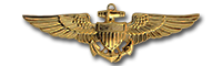 Naval Aviator Wings - Awarded on January 8th, 2021